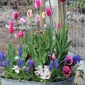 Meet your Posher, Candy